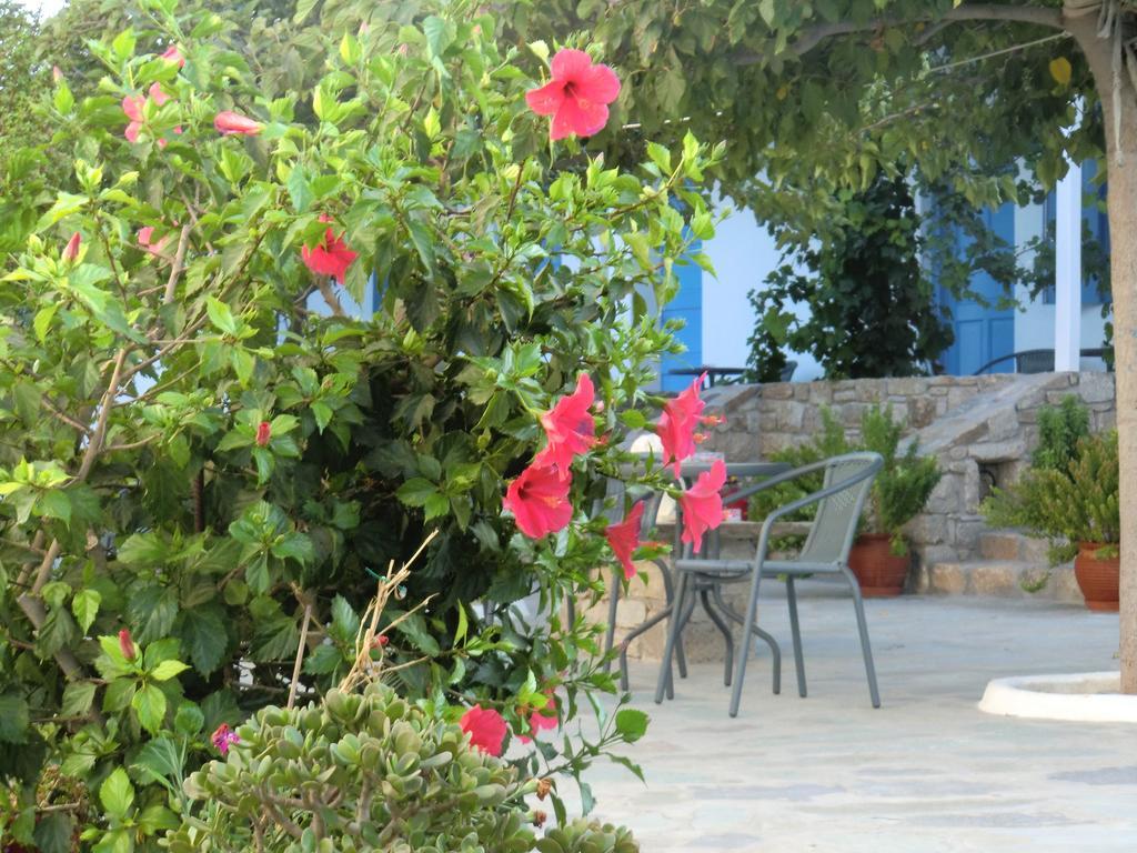 Mykonos Vouniotis Rooms Mykonos Town ภายนอก รูปภาพ